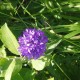 P8140009[1]